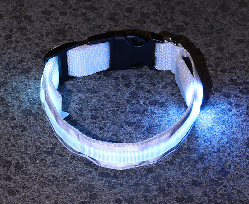 High Visibility Led Pet Collar