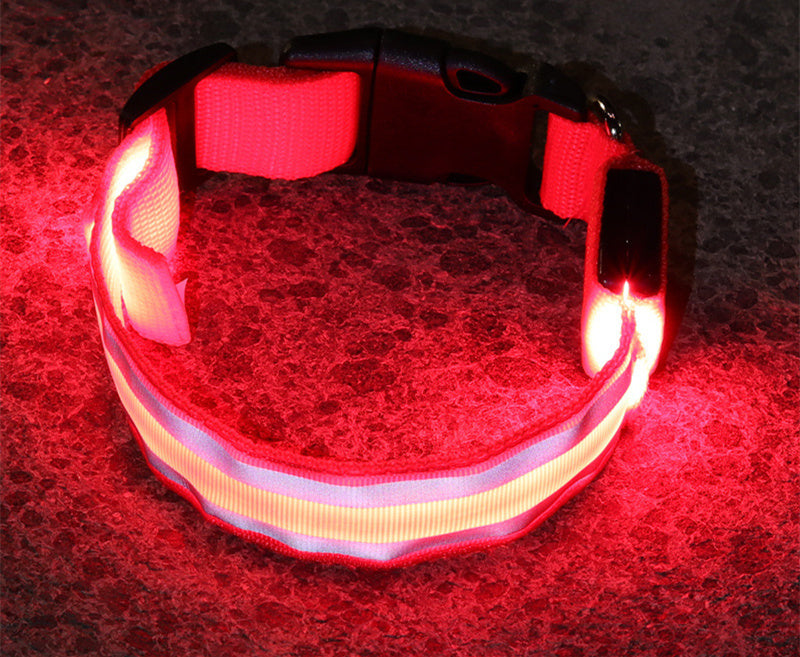 High Visibility Led Pet Collar