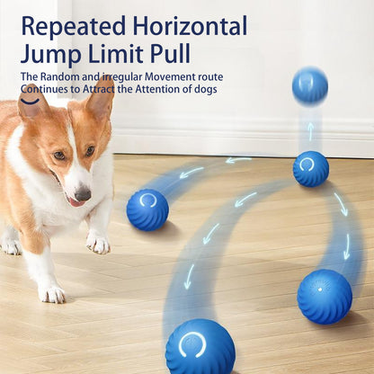 Smart Bounce Dog Chase Toy
