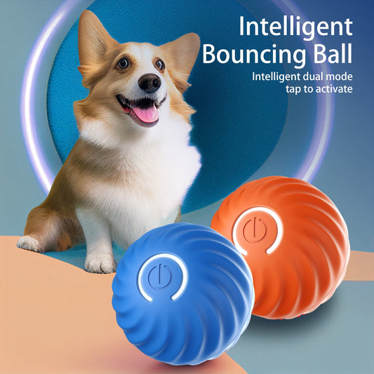 Smart Bounce Dog Chase Toy