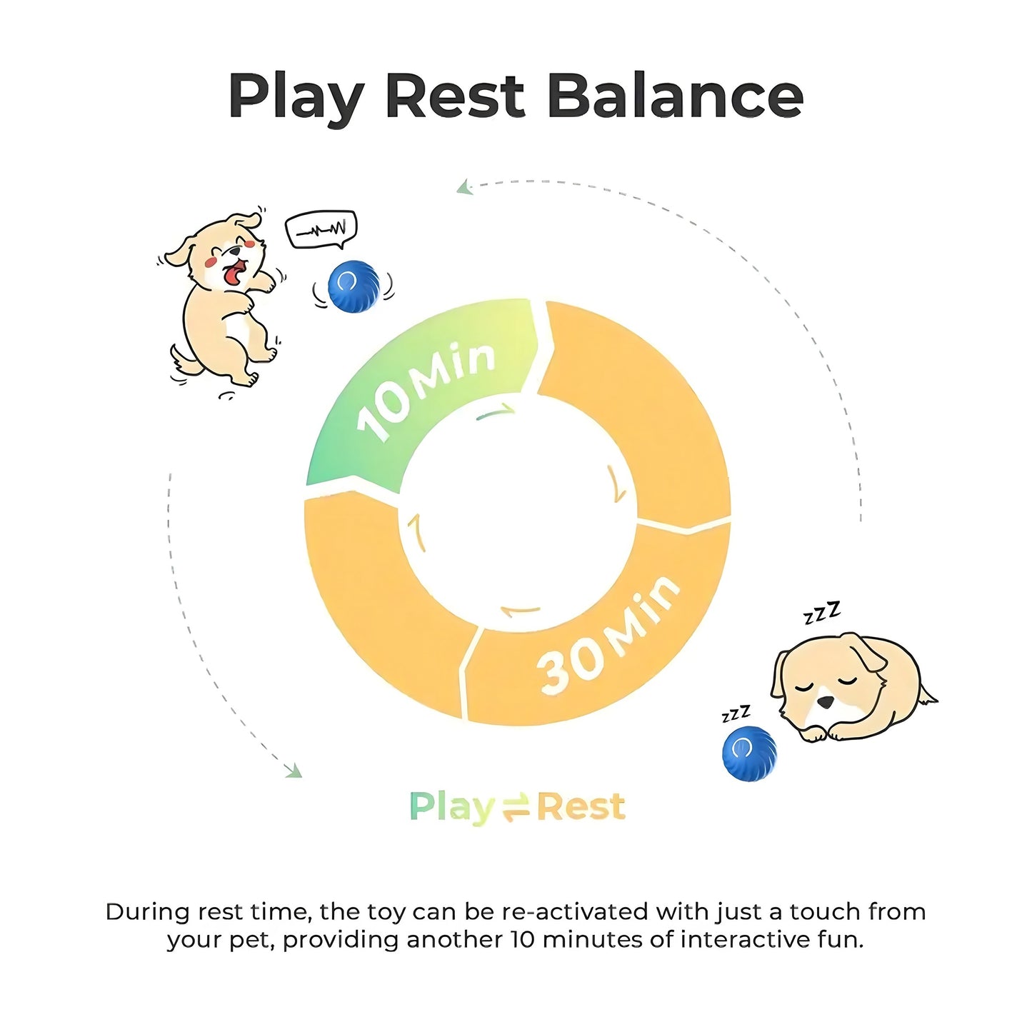 Smart Bounce Dog Chase Toy
