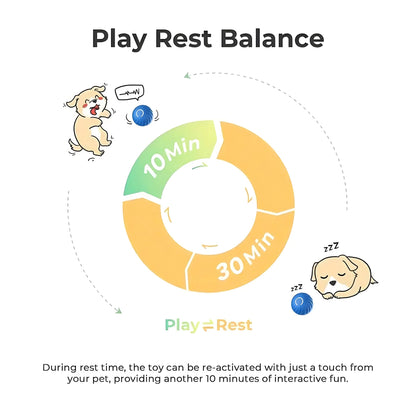 Smart Bounce Dog Chase Toy