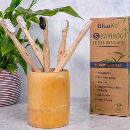 Eco-Friendly Bamboo Toothbrush Set