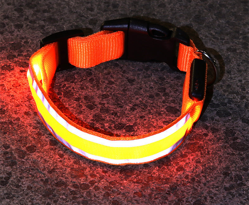 High Visibility Led Pet Collar