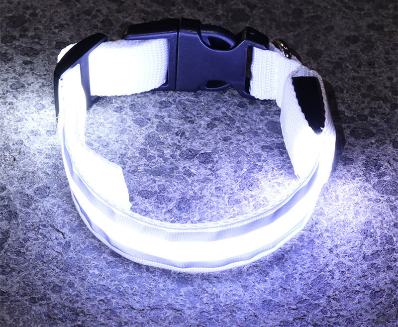 High Visibility Led Pet Collar