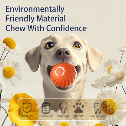 Smart Bounce Dog Chase Toy