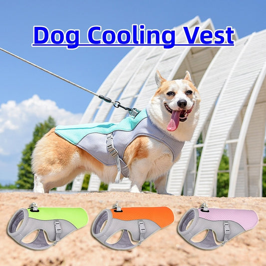 Dog Cooling Harness