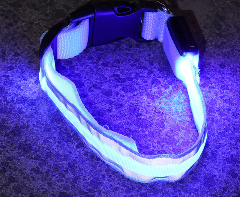 High Visibility Led Pet Collar