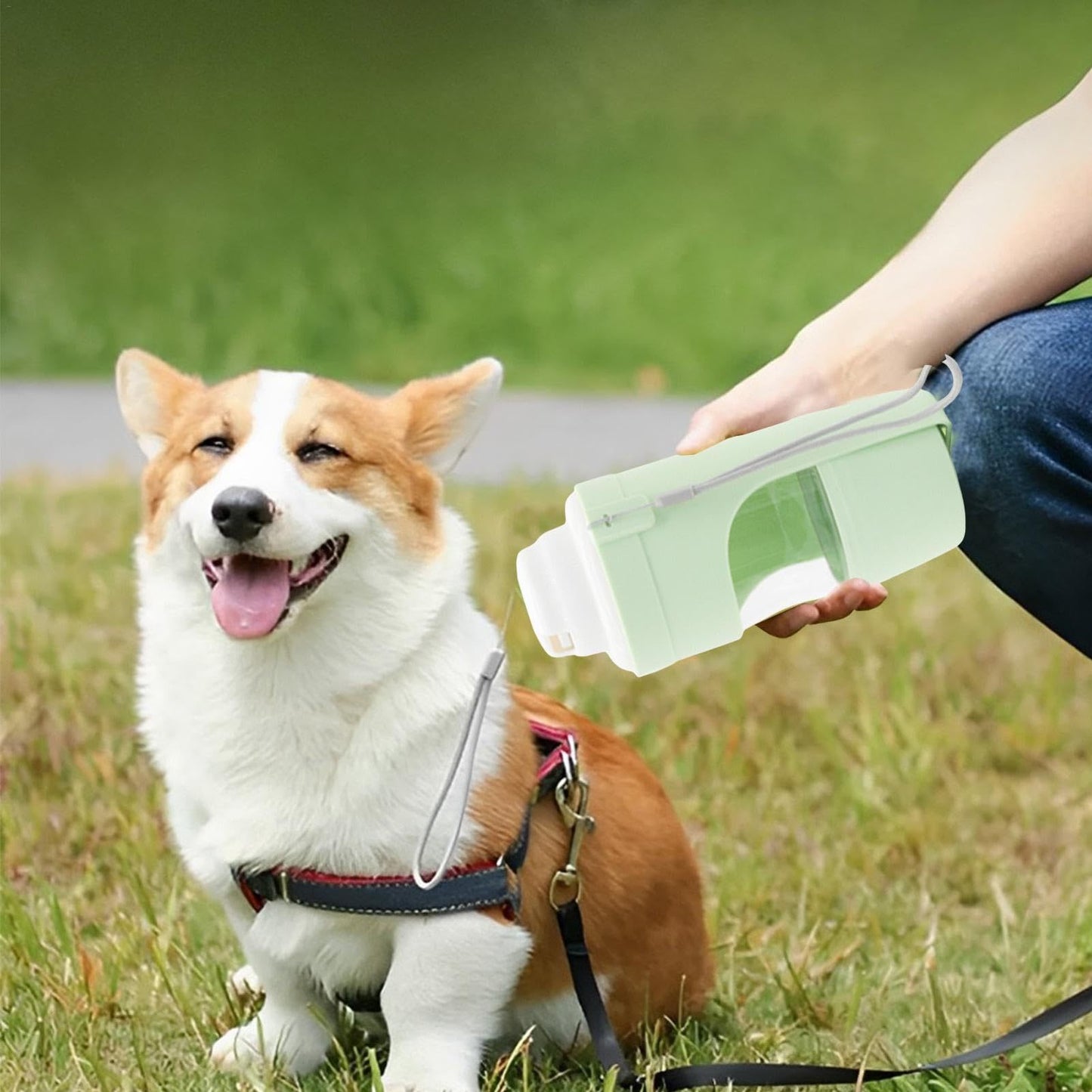 AquaTreat Travel Bottle