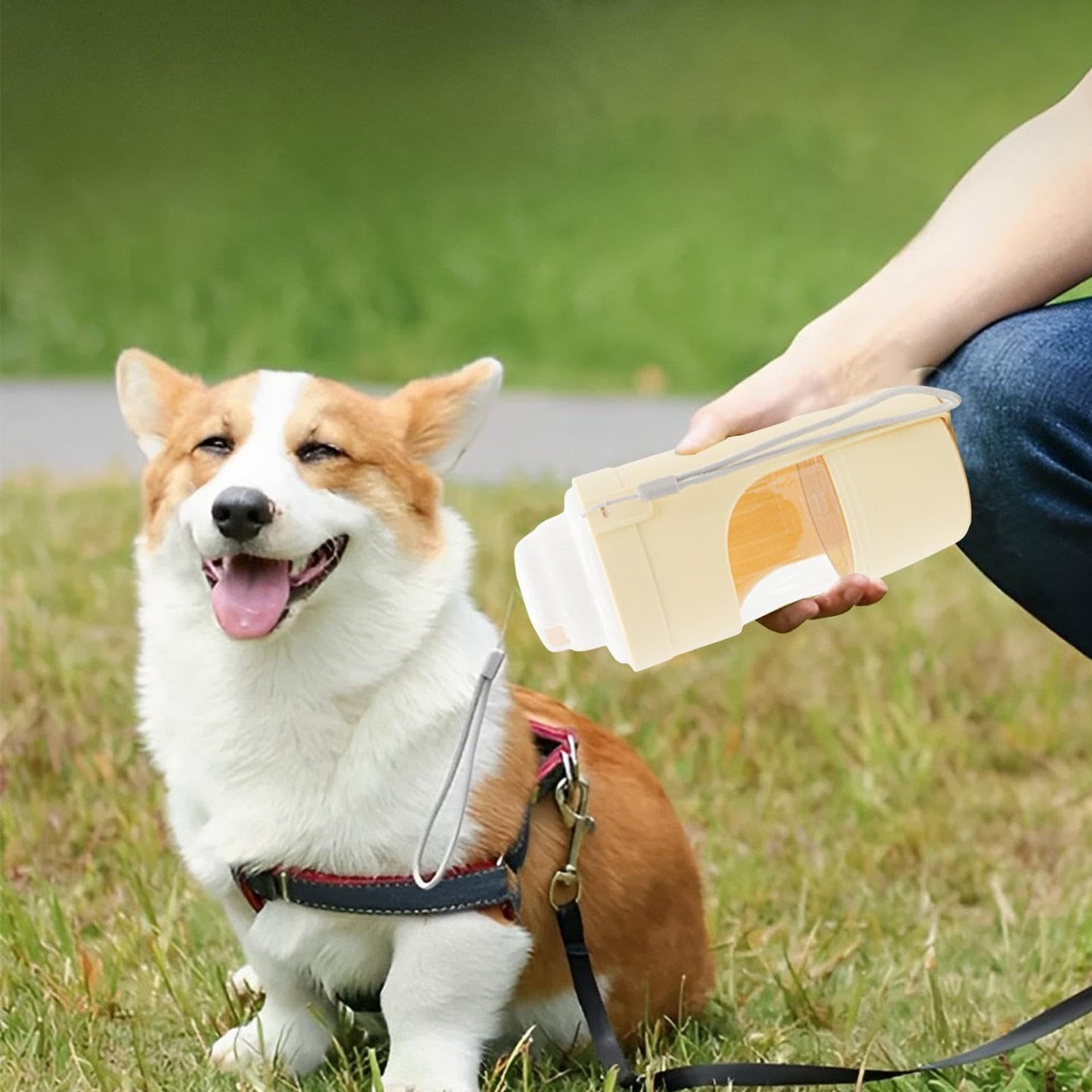 AquaTreat Travel Bottle