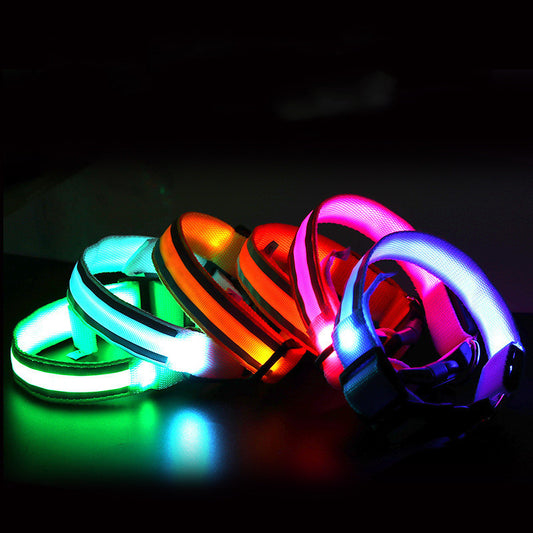 High Visibility Led Pet Collar