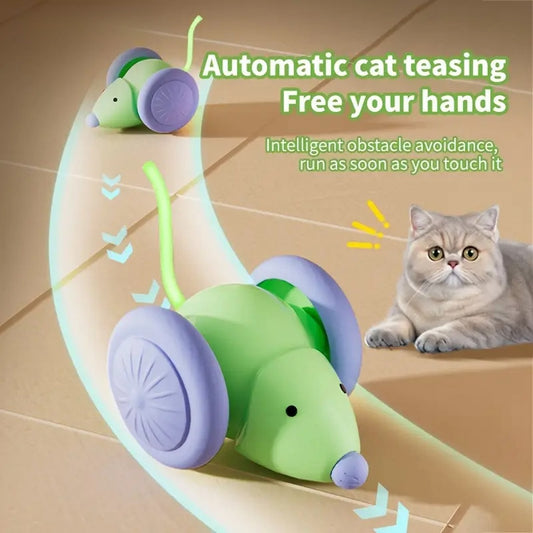 Purr-Suit Cat Teaser Toy